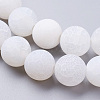 Natural Crackle Agate Beads Strands G-G055-10mm-5-3