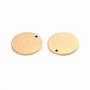 Ion Plating(IP) 304 Stainless Steel Charms STAS-I141-03C-G-2