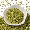 Baking Paint Glass Seed Beads X-SEED-S042-15A-07-2