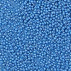 11/0 Czech Opaque Glass Seed Beads SEED-N004-003B-18-4