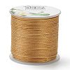 Polyester Braided Cords OCOR-I006-A05-45-1