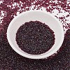 MIYUKI Delica Beads LS-SEED-J020-DB1751-2