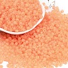 6/0 Luminous Glass Seed Beads SEED-NH0001-01D-2
