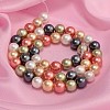 Shell Pearl Colorful Beads Strands X-BSHE-F013-14M-8mm-2