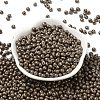 6/0 Glass Seed Beads SEED-L011-08A-09-2