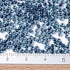 MIYUKI Round Rocailles Beads X-SEED-G007-RR0347-4