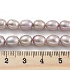 Natural Cultured Freshwater Pearl Beads Strands PEAR-P062-08J-5