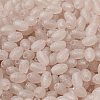 Transparent Colours Glass Seed Beads X-SEED-F006-03A-06-3