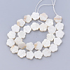 Natural Freshwater Shell Bead Strands X-SHEL-T001-A01-2