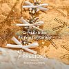 Preciosa® MAXIMA Crystal Round Stones X-PRC-RASS29-00030-200-5