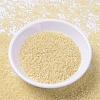 MIYUKI Delica Beads SEED-X0054-DB1287-2