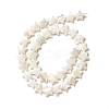 Natural Trochid Shell/Trochus Shell Beads SSHEL-O001-25D-01-1