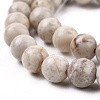 Natural Maifanite/Maifan Stone Beads Strands G-I187-8mm-01-7