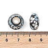 Lampwork & Brass Core European Beads LAMP-P019-01P-04-3