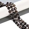 Natural Smoky Quartz Beads Strands G-N342-11-2