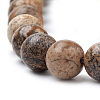 Natural Picture Jasper Beads Strands G-S259-27-8mm-3