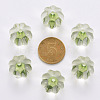 Transparent Acrylic Beads TACR-S154-19A-83-3