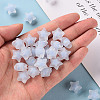 Transparent Acrylic Beads X-TACR-S152-02C-SS2113-5