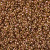 MIYUKI Round Rocailles Beads SEED-X0054-RR0345-3