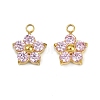 304 Stainless Steel Micro Pave Cubic Zirconia Charms STAS-B088-01G-01-1