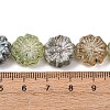 Painted Glass Beads Strands GLAA-B037-12A-12A-4