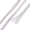 10 Skeins 6-Ply Polyester Embroidery Floss OCOR-K006-A16-3