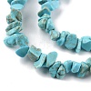 Natural Howlite Beads Strands X-G-G0003-B21-4