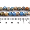Dyed Natural Regalite/Imperial Jasper/Sea Sediment Jasper Beads Strands G-B124-C02-15-3