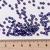 MIYUKI Round Rocailles Beads X-SEED-G008-RR1020-4