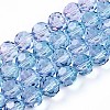 Baking Paint Transparent Glass Beads Strands LS-DGLA-A035-T10mm-A06-1