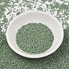 MIYUKI Delica Beads X-SEED-J020-DB2310-2