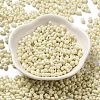 Baking Paint Glass Seed Beads SEED-K009-01A-22-2