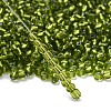 6/0 Round Silver Lined Round Hole Glass Seed Beads X-SEED-A005-4mm-24-4