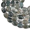 Natural Moss Agate Beads Strands G-H349-A01-22-4