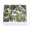 Natural Epidote Display Decorations G-N347-11D-1