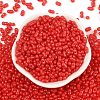 Baking Paint Glass Seed Beads SEED-L011-09A-14-2