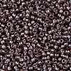 TOHO 11/0 Round Beads SEED-XTR11-1010-2