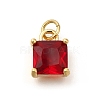 Brass Charms KK-M295-20G-01-1