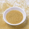 MIYUKI Delica Beads SEED-X0054-DB1112-2
