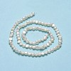 Natural Cultured Freshwater Pearl Beads Strands PEAR-A005-06-01-3