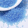 MIYUKI Delica Beads SEED-X0054-DB1229-1