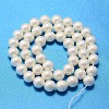 Round Shell Pearl Bead Strands BSHE-L011-10mm-A013A-3