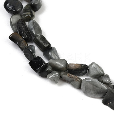 Natural Eagle Eye Stone Beads Strands G-Q060-D06-1