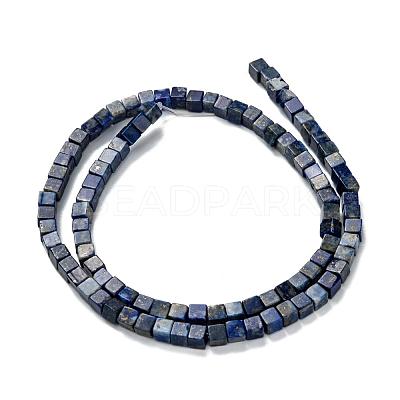 Natural Lapis Lazuli Beads Strands G-F631-K05-1