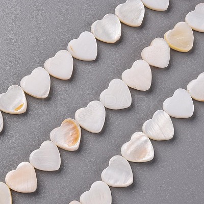 Natural Freshwater Shell Beads Strands SHEL-R144-25-1
