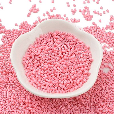 Baking Paint Glass Seed Beads X-SEED-S042-05B-86-1