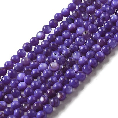 Natural Freshwater Shell Beads Strands SHEL-H003-03B-1