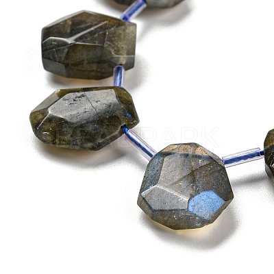 Natural Labradorite Beads Strands G-Z040-A03-01-1