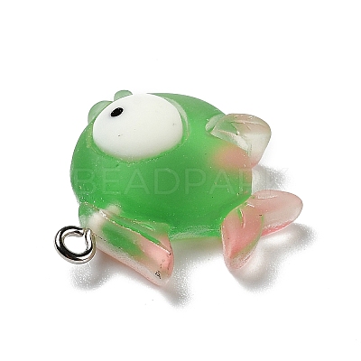 Opaque Resin Pendants X-RESI-D055-095P-1