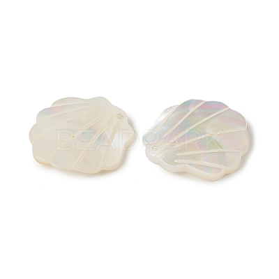 Natural Sea Shell Pendants X-SSHEL-T012-11-1